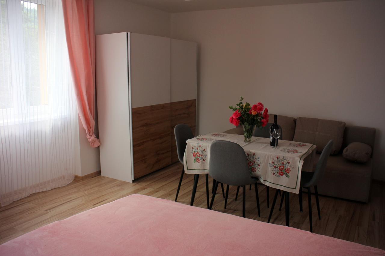Apartmanovy Dom Maria Banská Štiavnica エクステリア 写真